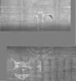 Wasserzeichen DE5025-Philos14_1