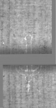 Wasserzeichen DE5025-Philos14_6