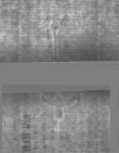Wasserzeichen DE5025-Philos14_13