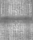 Wasserzeichen DE5025-Philos14_18