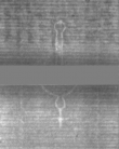 Wasserzeichen DE5025-Philos14_39