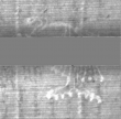 Wasserzeichen DE5025-Philos14_49