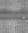 Wasserzeichen DE5025-Philos14_57