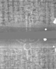 Wasserzeichen DE5025-Philos14_59