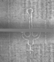 Wasserzeichen DE5025-Philos14_62