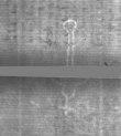 Wasserzeichen DE5025-Philos14_73