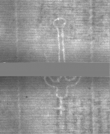 Wasserzeichen DE5025-Philos14_76