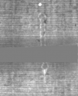 Wasserzeichen DE5025-Philos14_88