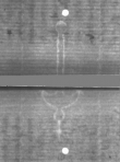 Wasserzeichen DE5025-Philos14_105