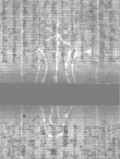 Wasserzeichen DE5025-tl171_12