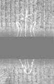 Wasserzeichen DE5025-tl171_13