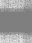 Wasserzeichen DE5025-tl171_34