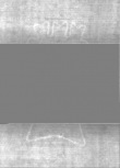 Wasserzeichen DE5025-tl171_58