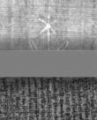Wasserzeichen DE5025-tl168_395