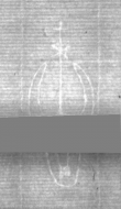 Wasserzeichen DE5025-tl172_145