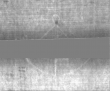 Wasserzeichen DE5025-tl172_6