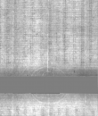 DE5025-Philol4_28 - Typ:0 - ID: 169112 - Eintrag Nr.: 61 Wasserzeichen DE5025-Philol4_28