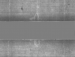 Wasserzeichen DE5025-Philol4_56