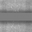 Wasserzeichen DE5025-Philol4_80