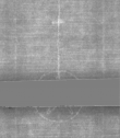 Wasserzeichen DE5025-Philol4_70