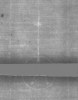 Wasserzeichen DE5025-Philol4_91