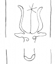 Wasserzeichen DE4200-StGeorgen_74_3