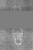 Wasserzeichen DE5025-tl172_52