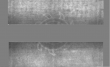 Wasserzeichen DE5025-tl172_153