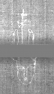 Wasserzeichen DE5025-tl172_167