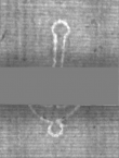 Wasserzeichen DE5025-tl172_181