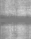 Wasserzeichen DE5025-tl172_203