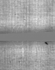 Wasserzeichen DE5025-tl172_215