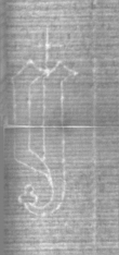 Wasserzeichen DE5025-tl188_310