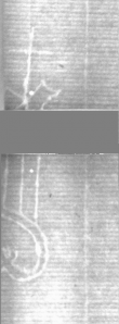 Wasserzeichen DE5025-tl188_7