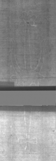 Wasserzeichen DE5025-Philol5_3