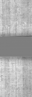 Wasserzeichen DE5025-Philol5_28