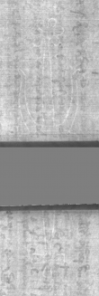 Wasserzeichen DE5025-Philol5_37