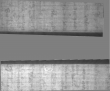 Wasserzeichen DE5025-Philol5_48