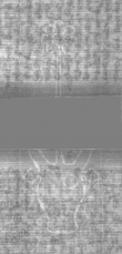 Wasserzeichen DE5025-Philol5_147