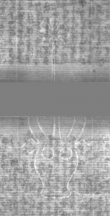 Wasserzeichen DE5025-Philol5_160
