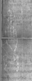 Wasserzeichen DE5025-tl179_29