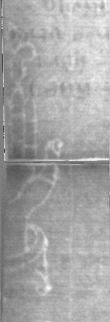 Wasserzeichen DE5025-tl179_70