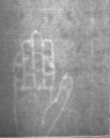 Wasserzeichen DE5025-tl179_86