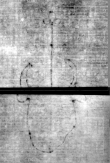DE5580-Muspr9590Altus_b1 - Typ:0 - ID: 169649 - Eintrag Nr.: 49 Wasserzeichen DE5580-Muspr9590Altus_b1
