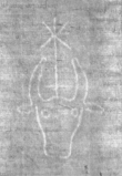 Wasserzeichen DE5025-Philol12_8