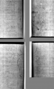 Wasserzeichen DE5580-Musth34_L1