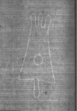Wasserzeichen DE5025-Philol12_190