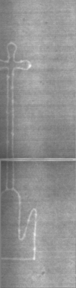 Wasserzeichen DE5025-Math03_IV