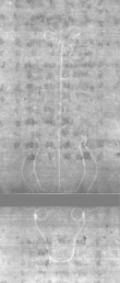 DE5025-Math03_7 - Typ:0 - ID: 169829 - Eintrag Nr.: 136 Wasserzeichen DE5025-Math03_7