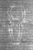 Wasserzeichen DE5025-Math01_7